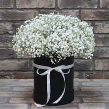 Цветочная композиция из Гипсофила в шляпной коробке в Опытное Поле