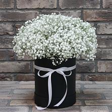 Цветочная композиция из Гипсофила в шляпной коробке в Опытное Поле